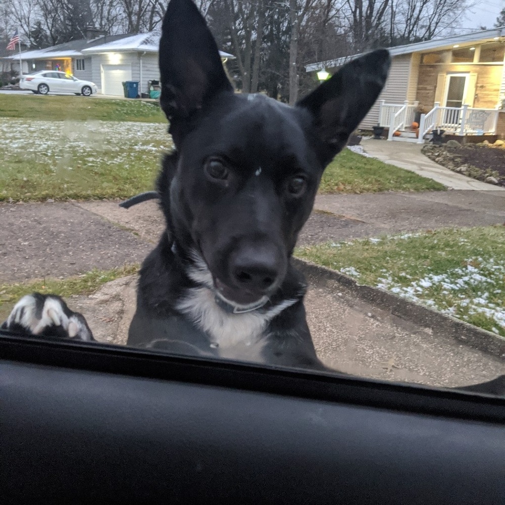 Meet your Posher, Amina